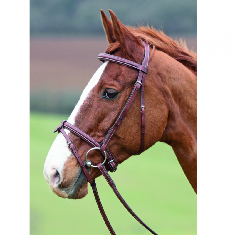 Shires Avignon Comfort Bridle - Oak-1