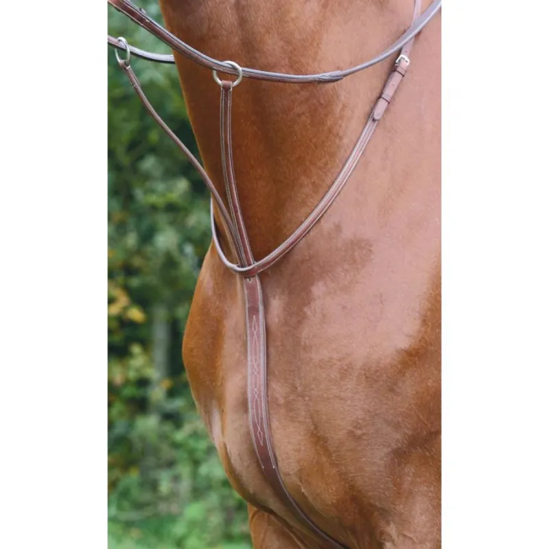 Shires Avignon Running Martingale - Oak