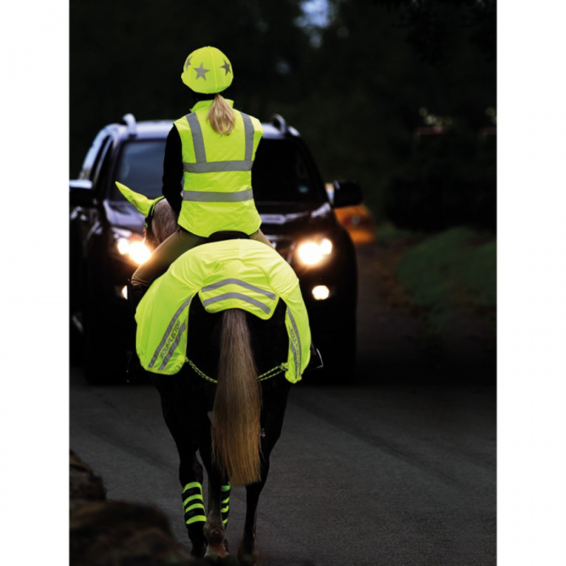 EQUI-FLECTOR Mesh Exercise Sheet - Yellow-1