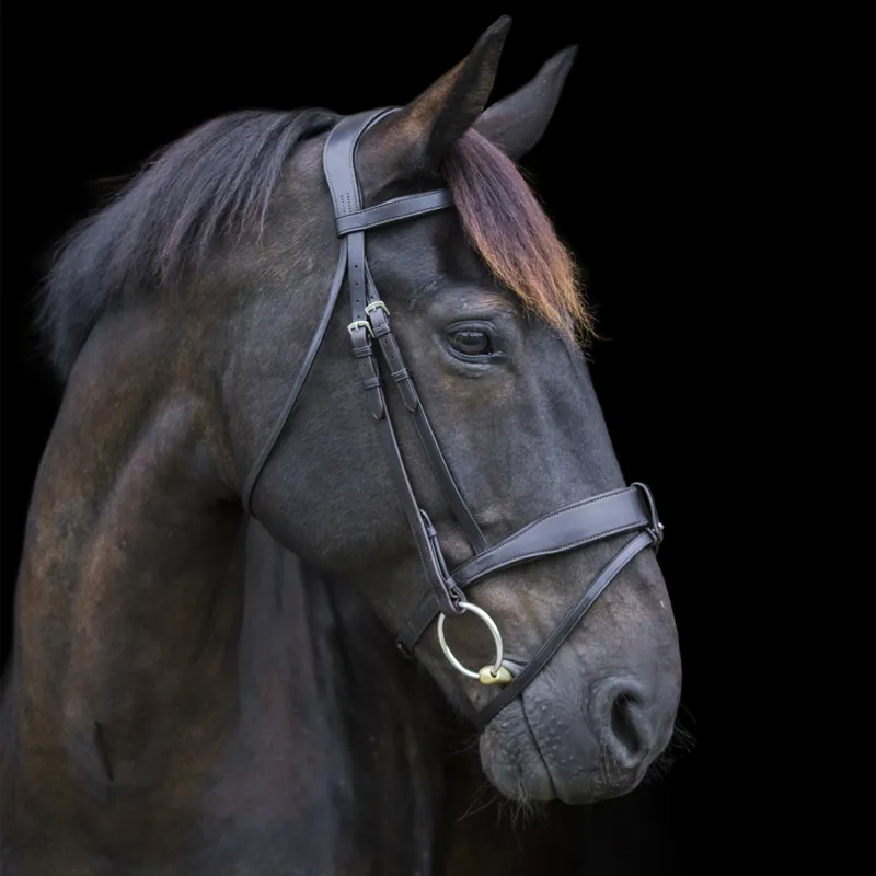 Ecorider Show Comfort Bridle - Brown