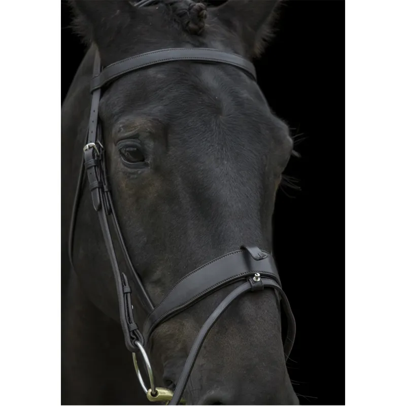 Ecorider Show Comfort Bridle - Black-2