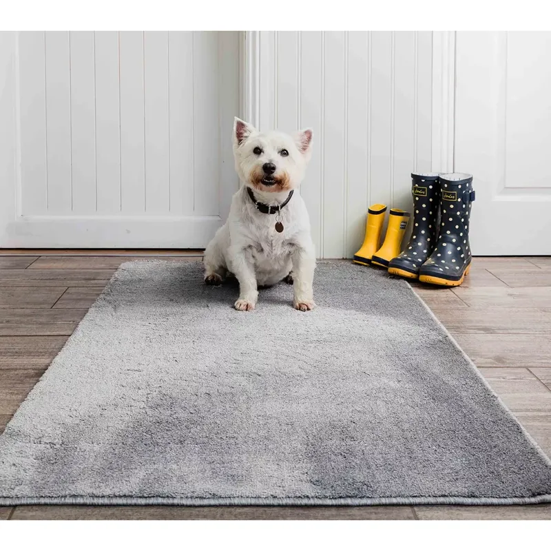 Pet Rebellion Stop Muddy Paws - Silver