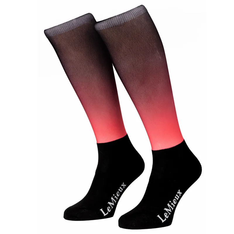 LeMieux Spectrum Socks - Aubergine/Papaya