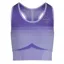 My LeMieux Activewear Sports Bra - Bluebell 