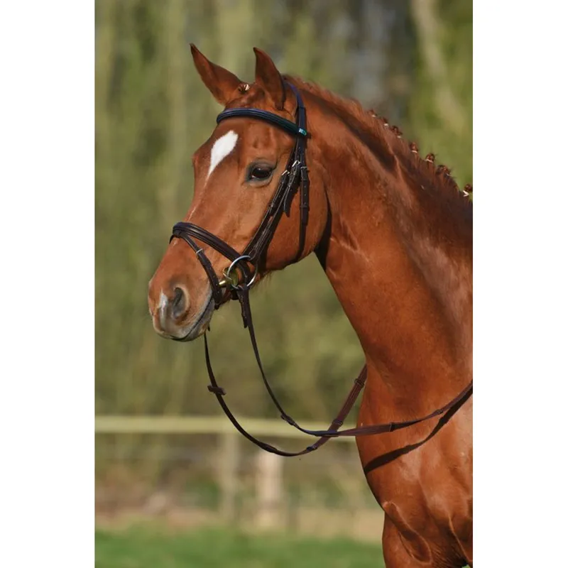 Stubben Leitrim Bridle With Combined Noseband - Black