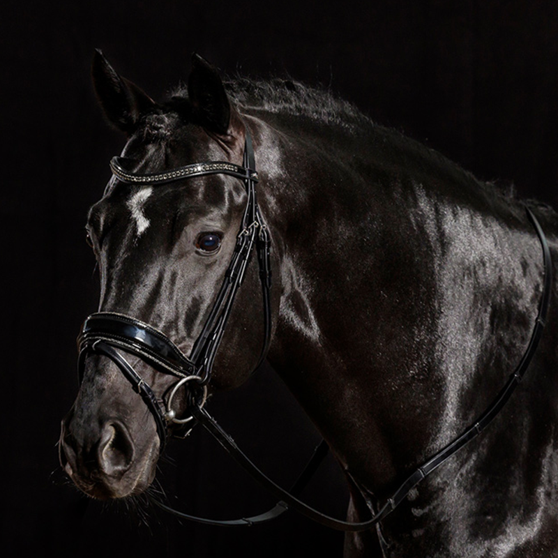 Schockemohle Stanford Glam Bridle - Black/Patent/Silver-1