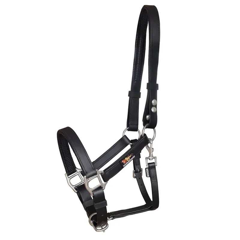 Equilibrium Stellar Headcollar - Black
