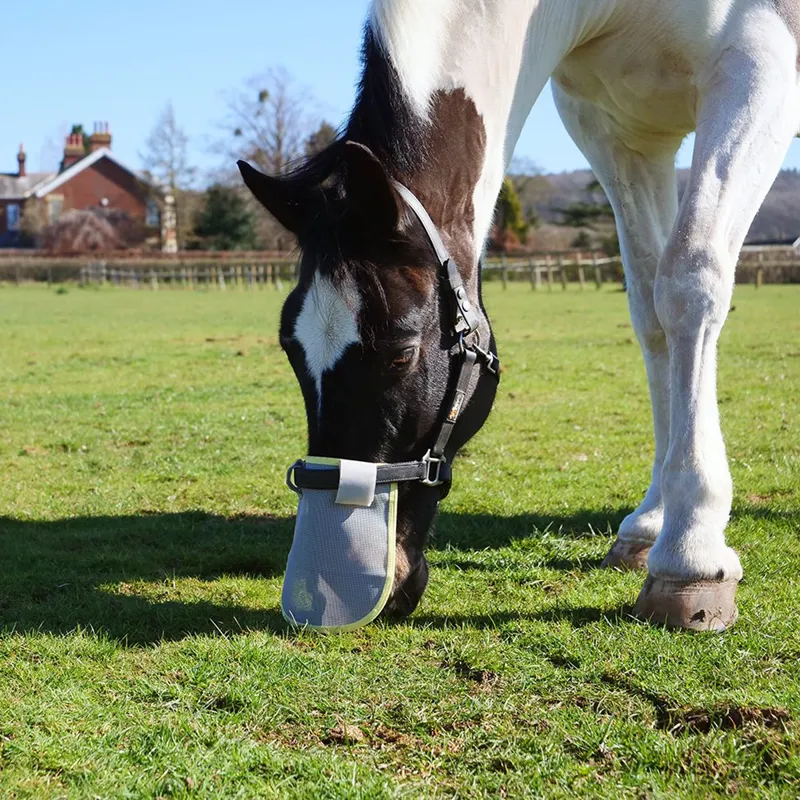 Equilibrium Stellar Headcollar - Black-1