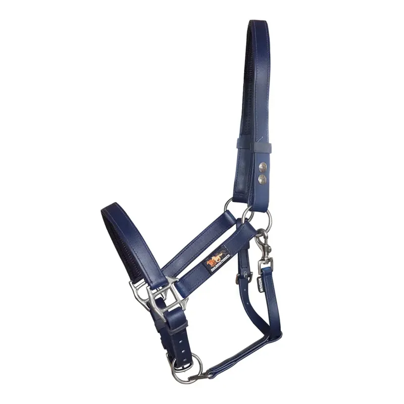 Equilibrium Stellar Headcollar - Navy
