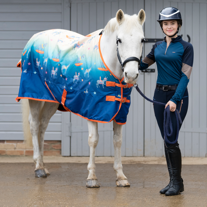 Hy StormX Original Seaside Donkey 50g Turnout Rug Sea Blue