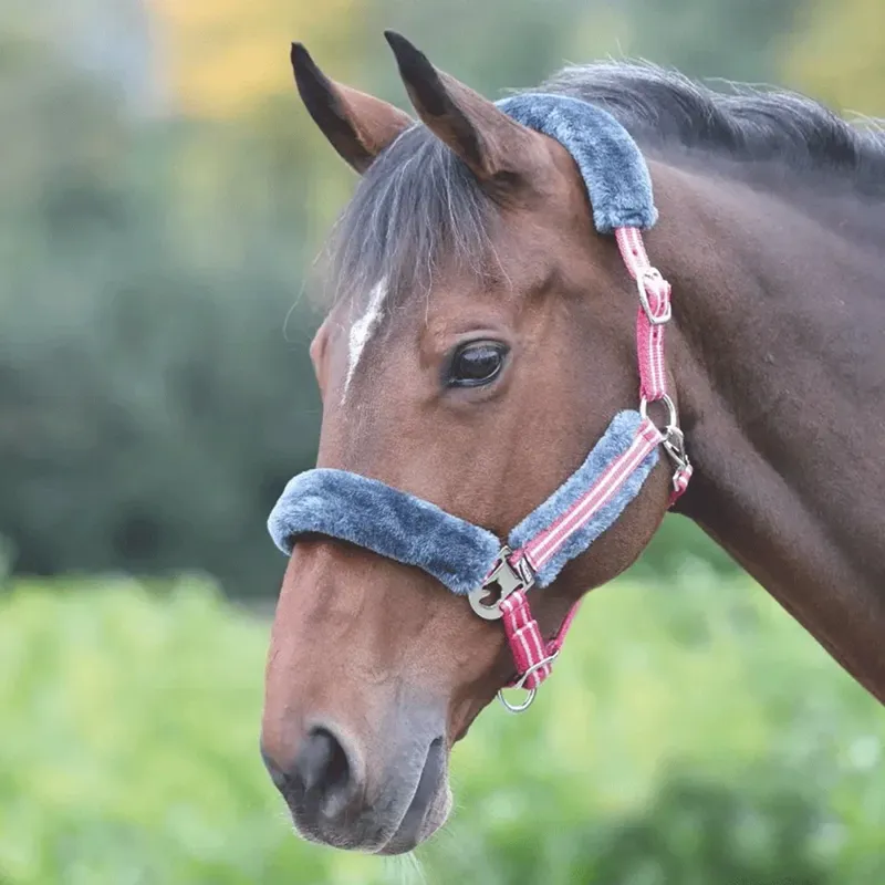 Shires Stripe Headcollar - Pink