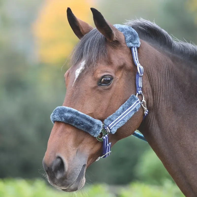 Shires Stripe Headcollar - Blue