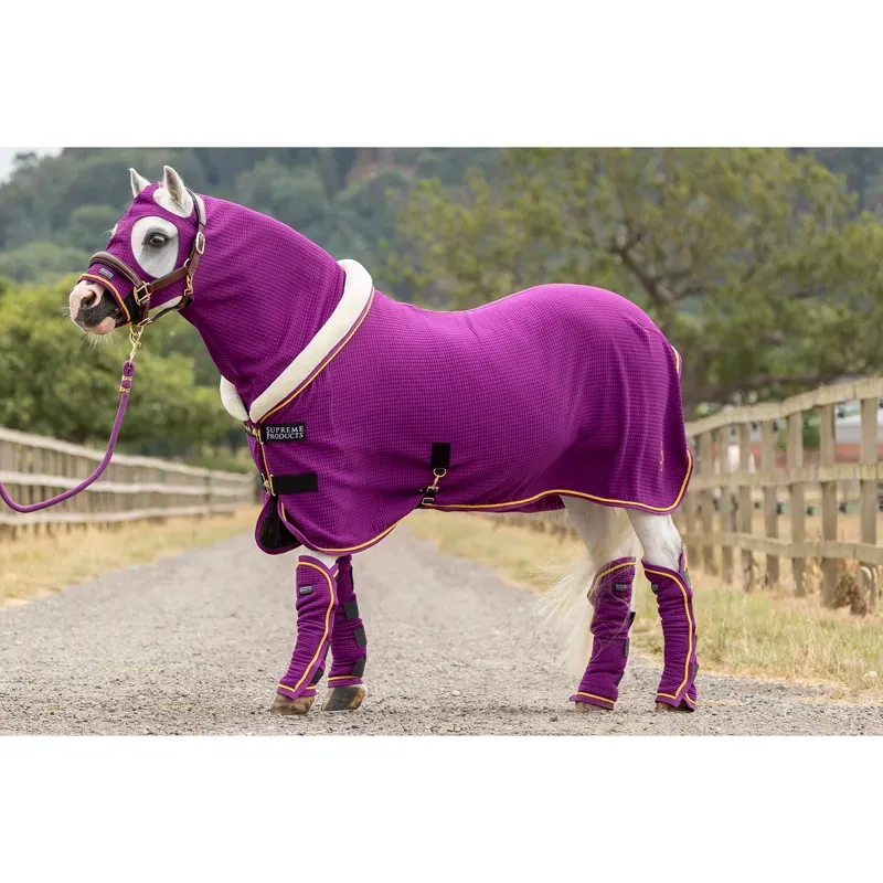 Supreme Products Royal Celebration Show Leadrope - Purple