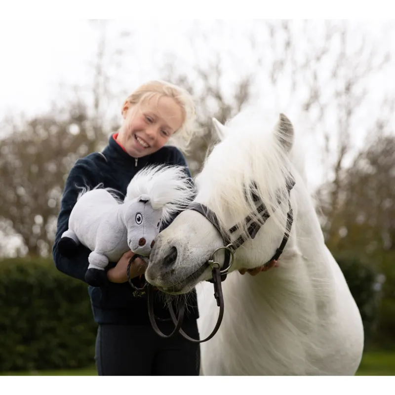 Hy Equestrian Thelwell Ponies - Tarquin the Pony-2
