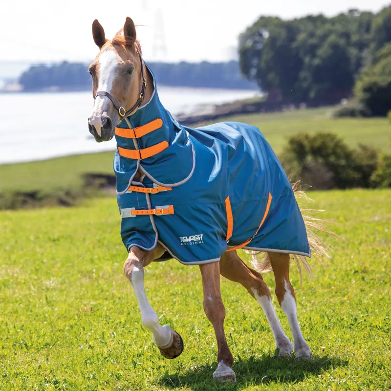 Shires Tempest Original Lite Turnout Rug and Neck Set - Teal-1