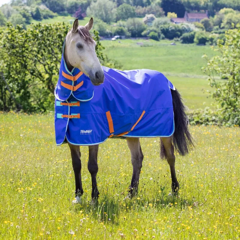 Tempest Original 50 Turnout Rug and Neck Set - Navy