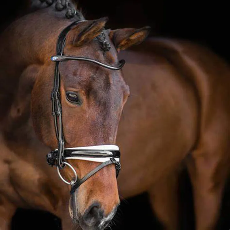 PS Of Sweden GP Bridle - Black/White-1