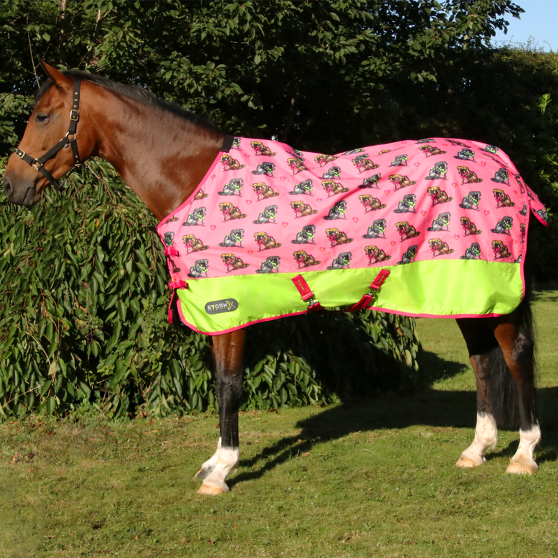Hy StormX Original 0g Turnout Rug - Thelwell Collection Hugs - Pink/Lime/Hot Pink-1