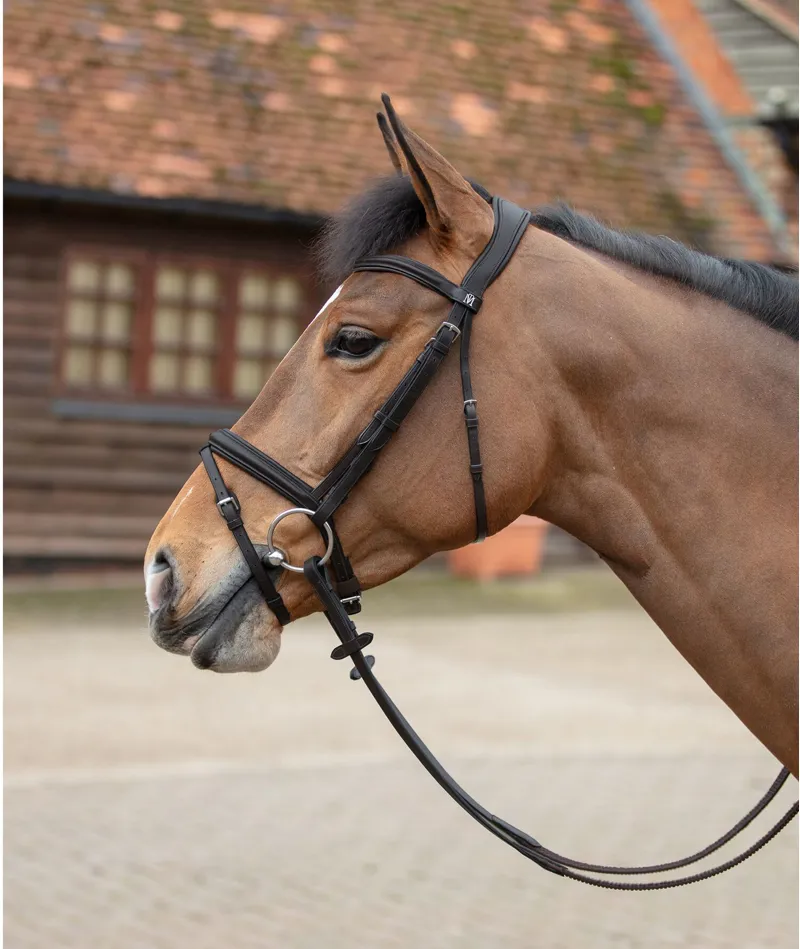 Mark Todd Leonidas Il Bridle Flash In Black