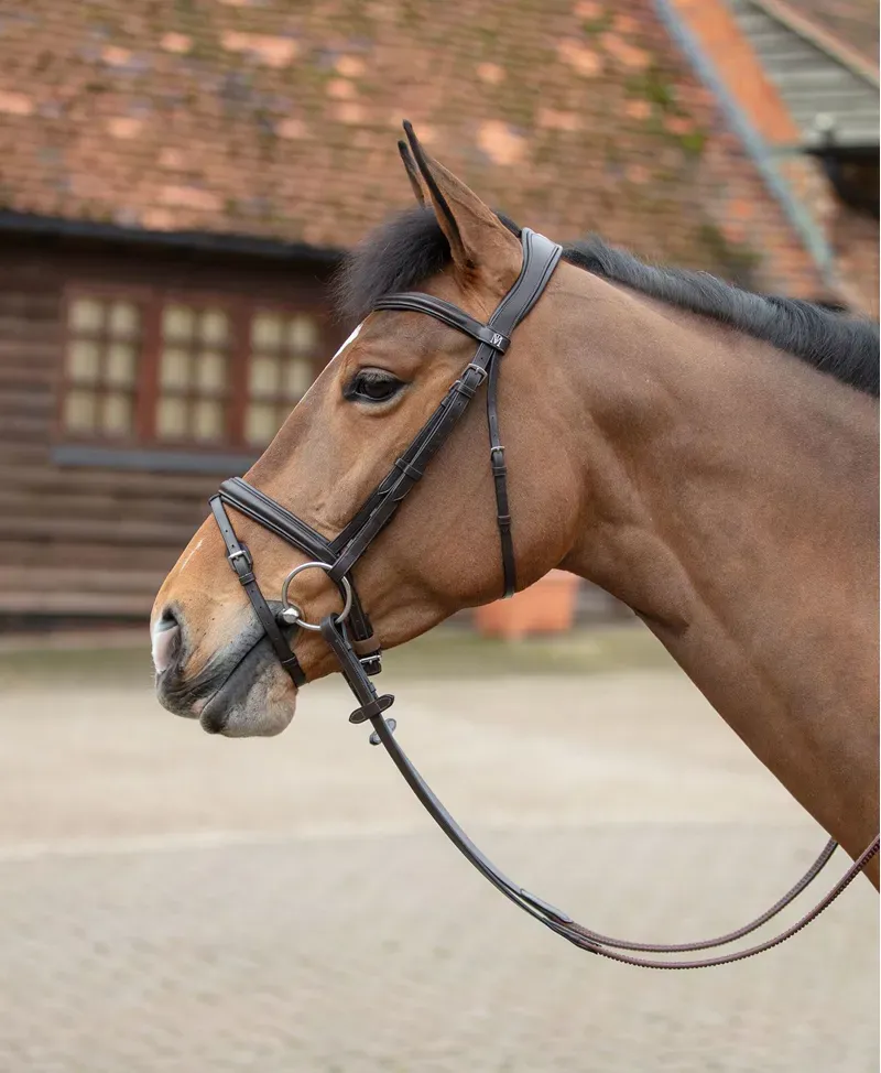 Mark Todd Leonidas II Flash Bridle - Brown