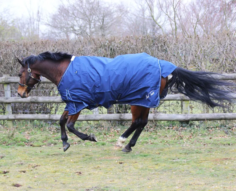 Mark Todd Lightweight Turnout Rug In Navy