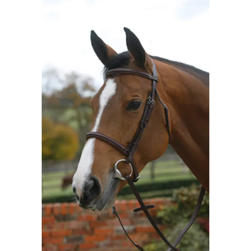 Mark Todd Cob Plain Raised With Cavesson Noseband Bridle In Brown