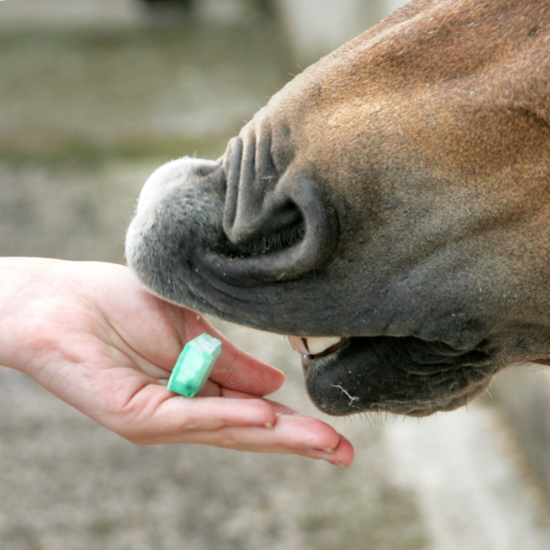 Likit Treat Bar - Assorted Flavour-2