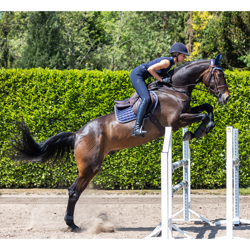 LeMieux Loire Classic Satin CC Pad - Twilight Navy-4