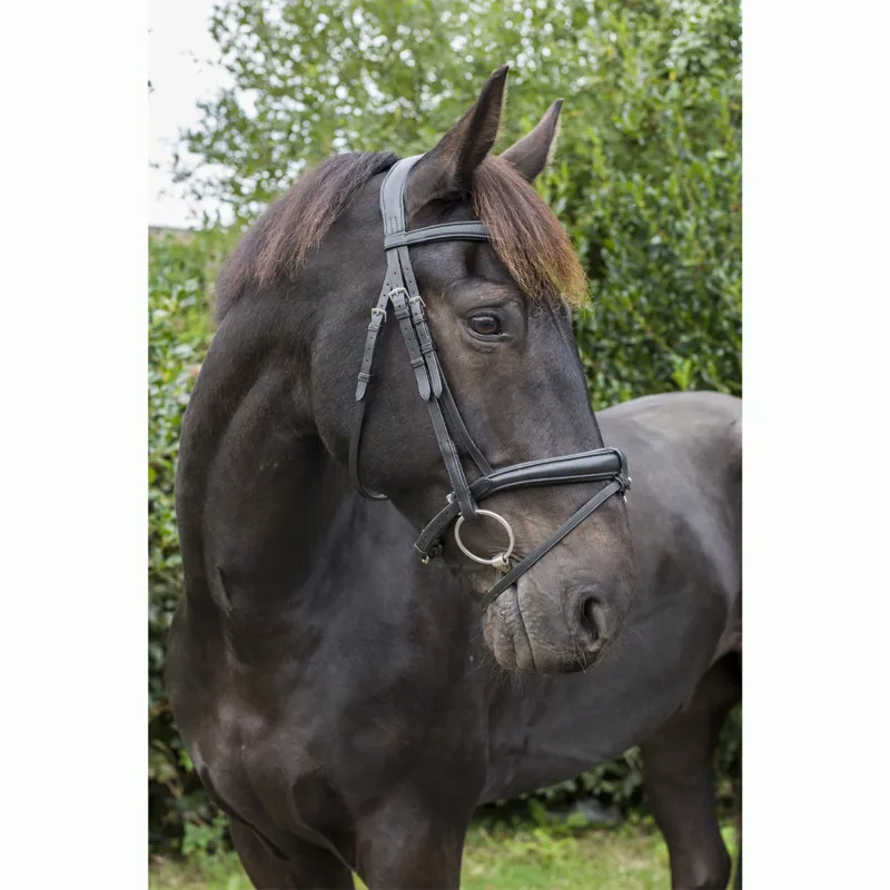 EcoRider Vegan Luxe Bridle - Black 