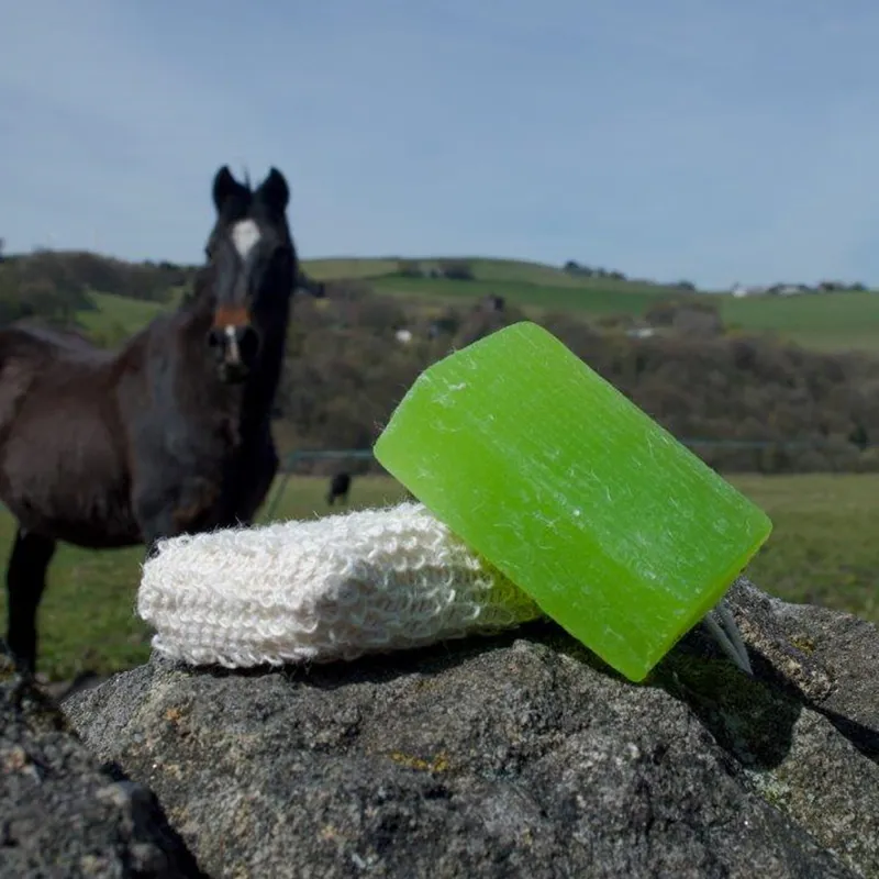 EcoRider Vegan Shampoo