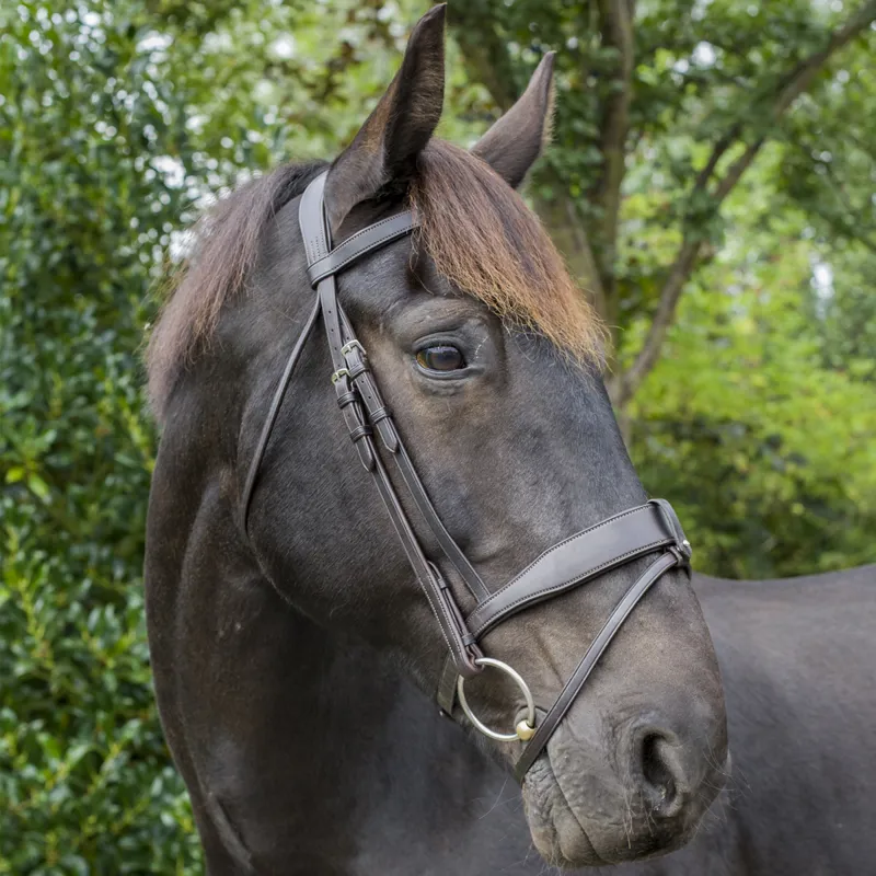 Ecorider Vegan Show Comfort Bridle - Brown