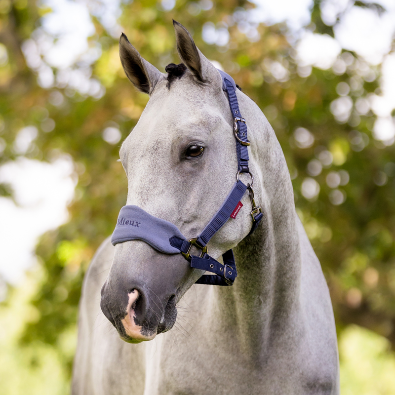 LeMieux Vogue Headcollar and Leadrope - Indigo-1