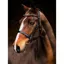 PS of Sweden Wellington Bridle - Black