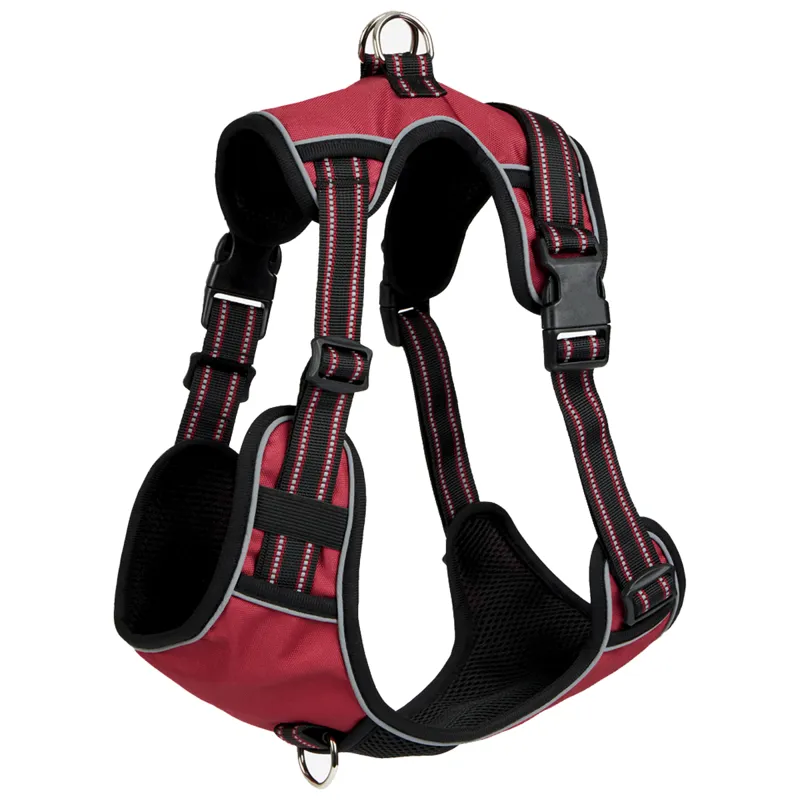 LeMieux Wellow Canvass Dog Harness - Burgundy