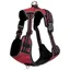 LeMieux Wellow Canvass Dog Harness - Burgundy