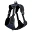 LeMieux Wellow Canvass Dog Harness - Navy