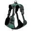 LeMieux Wellow Canvass Dog Harness - Sage