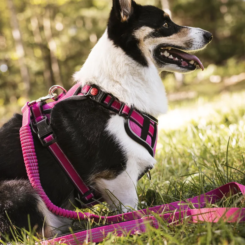 LeMieux Winchester Mesh Dog Harness - Watermelon-7