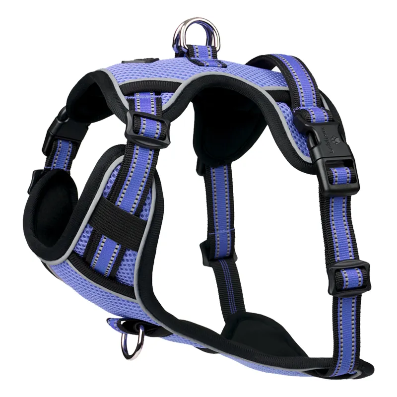 LeMieux Winchester Mesh Dog Harness - Bluebell
