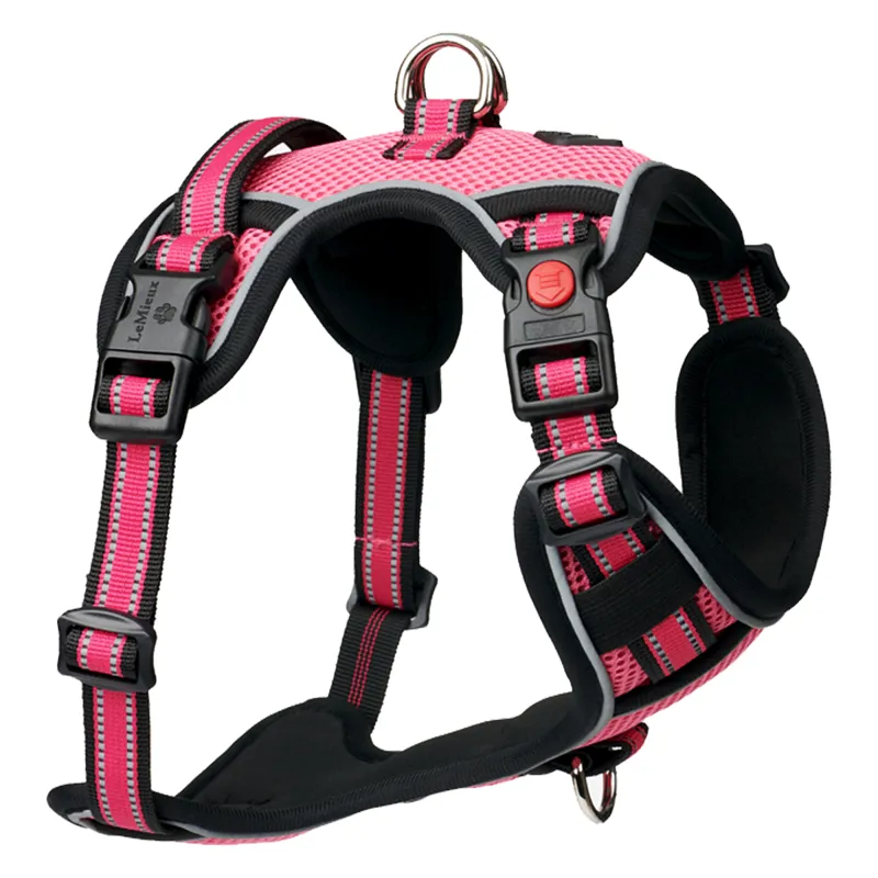 LeMieux Winchester Mesh Dog Harness - Watermelon-1