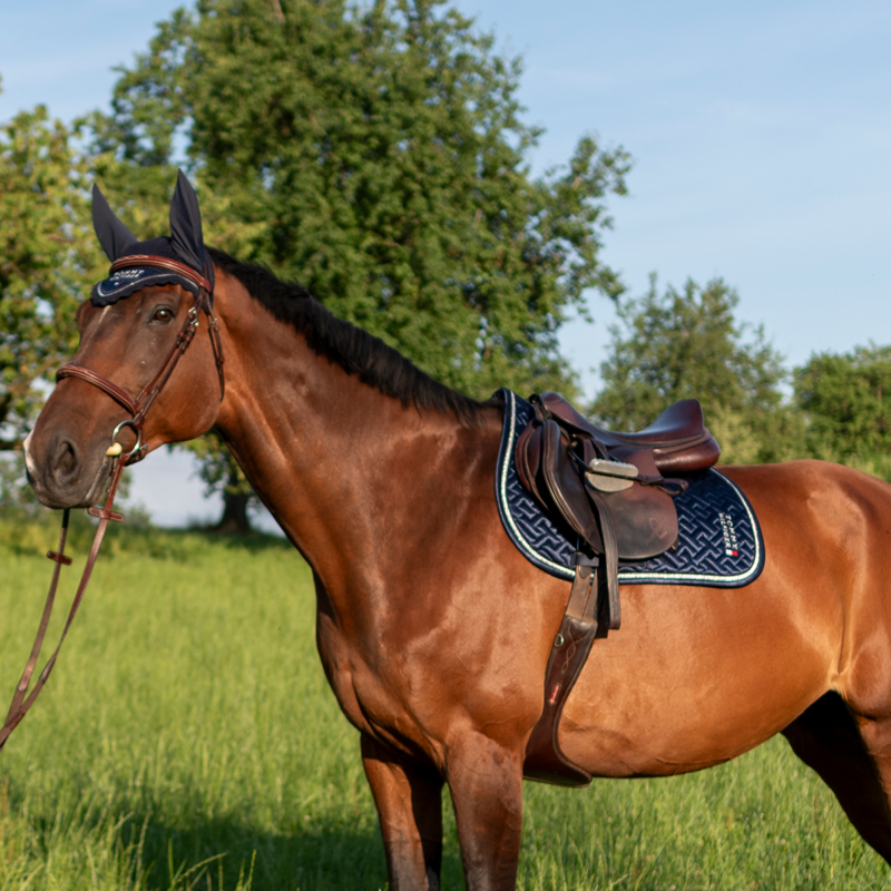 Tommy Hilfiger Windsor TH Quilted Jumping Saddlepad - Desert Sky-4