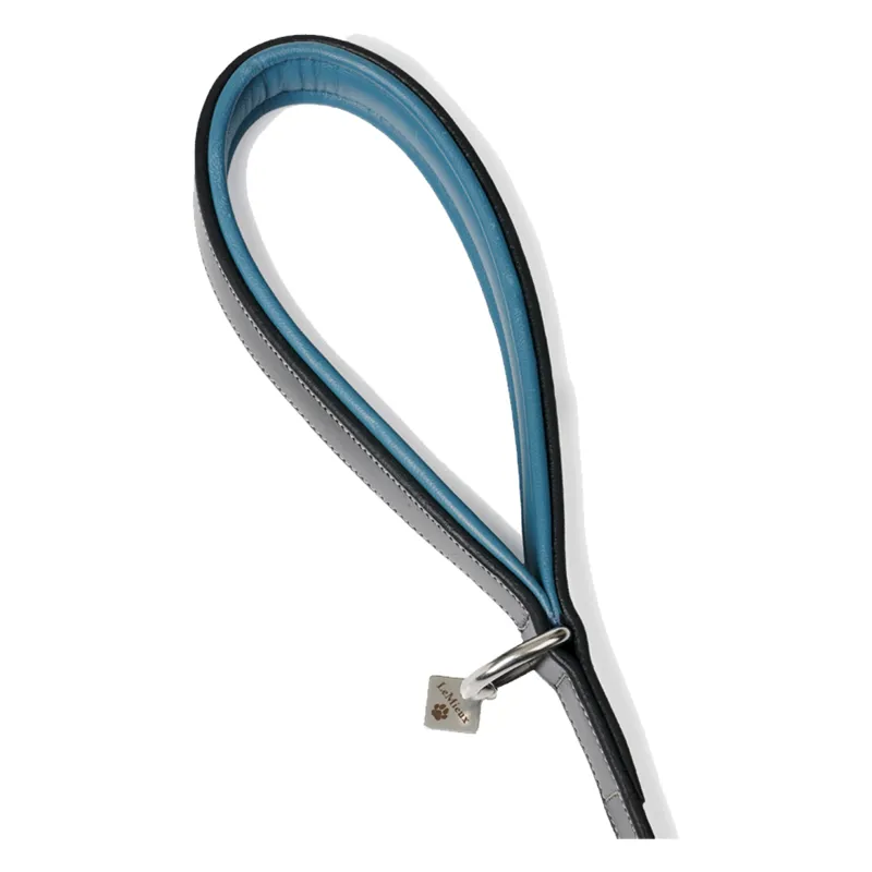LeMieux Windsor Dog Lead - Black/Ice Blue-1