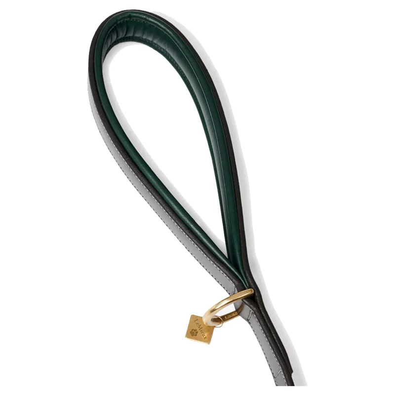 LeMieux Windsor Dog Lead - Brown/Hunter Green-1