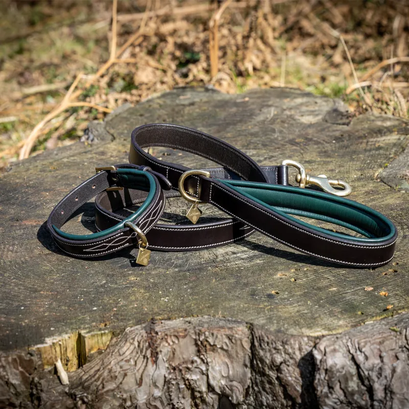 LeMieux Windsor Padded Collar - Brown/Hunter Green-3