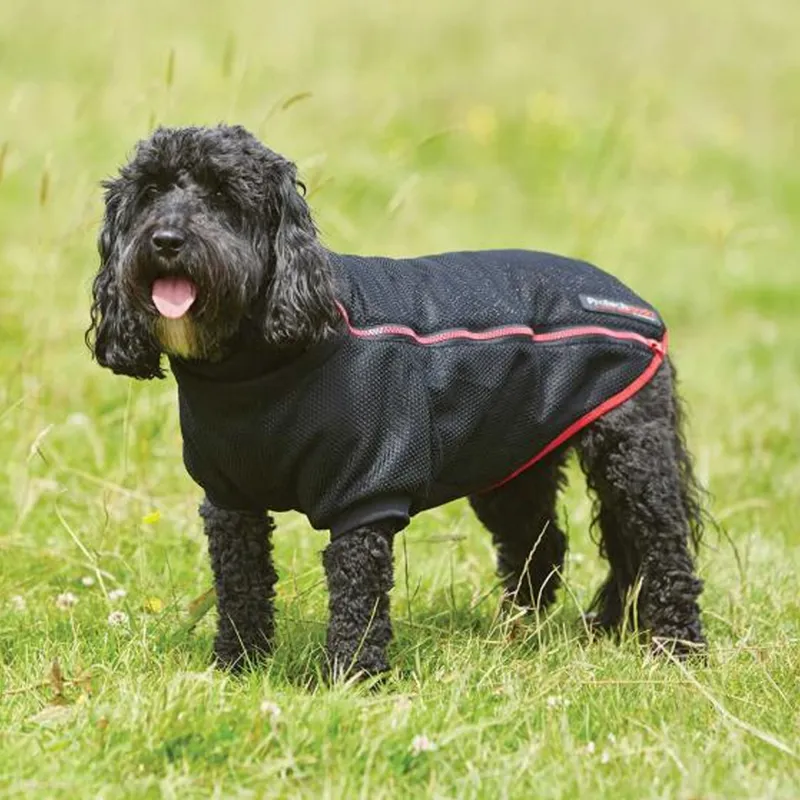 Woofmasta Dog Rug Coat Protechmasta - Black-1