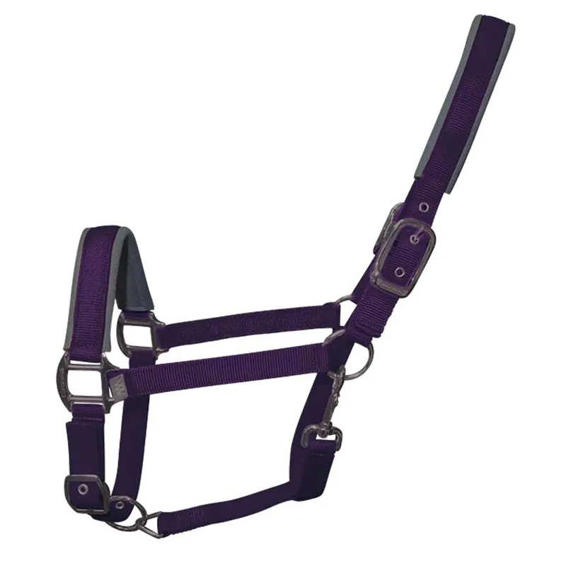 Woof Wear Contour Headcollar - Damson
