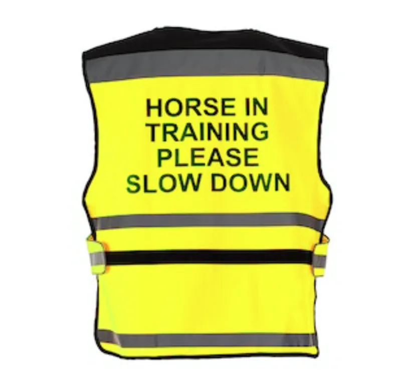 Equisafety Air Waistcoat Horse In Training Please Slow Down - Yellow